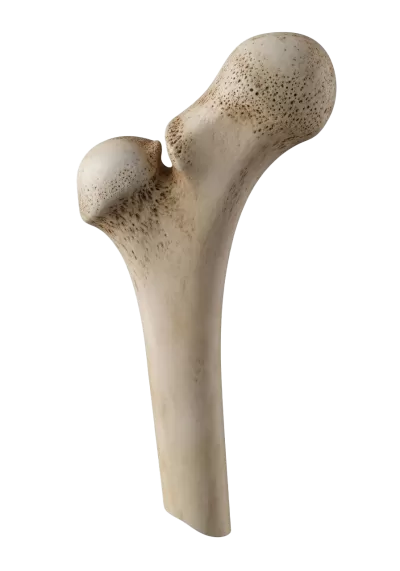 Imagen PNG para descargar